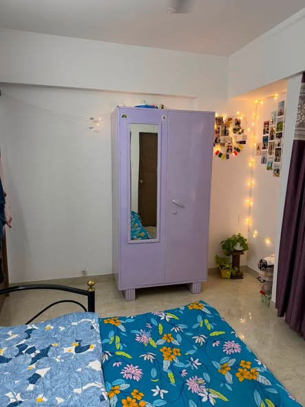 Flatmates in Hingane, Pune