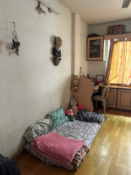 1BHK Flatmates in Kothrud, Pune