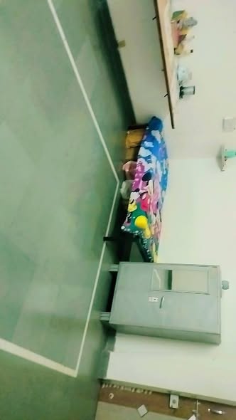 2BHK Flatmates in Aundh, Pune